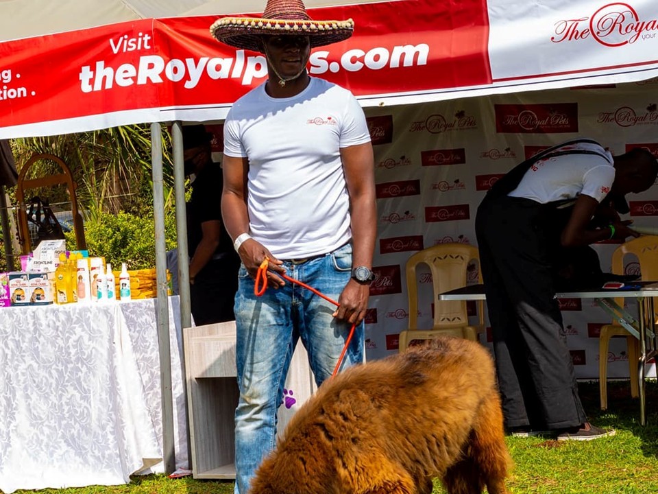 The Royal Pets Logo Design